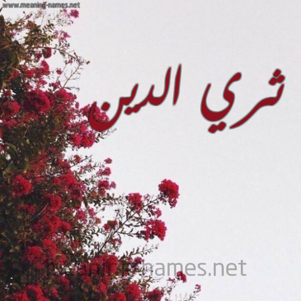 شكل 18 صوره الورد الأحمر للإسم بخط رقعة صورة اسم ثري الدين Thari